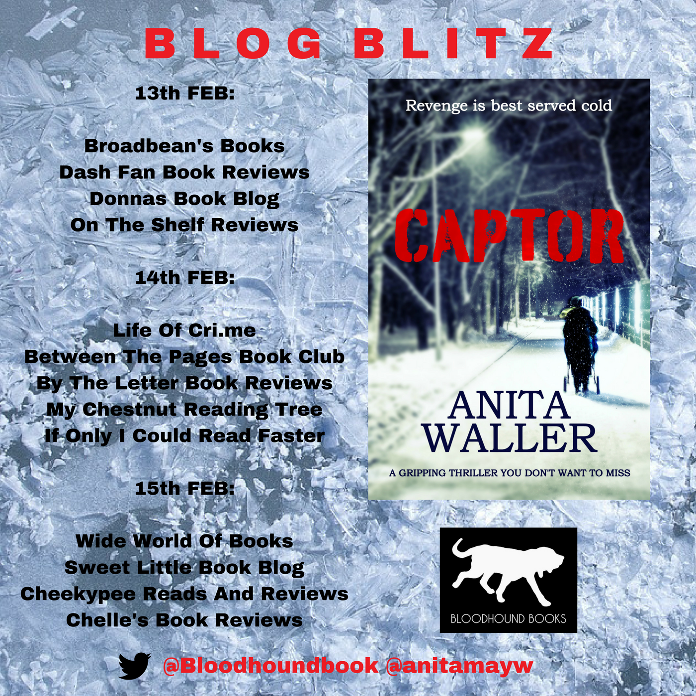 BLOG BLITZ (1) (1).png