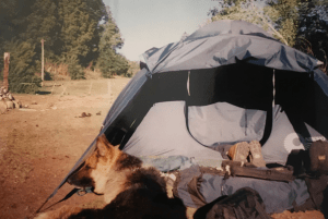 29666601_10155280180932623_1124615510_n