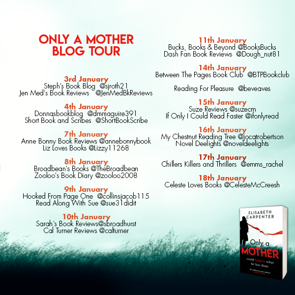only a mother blog tour